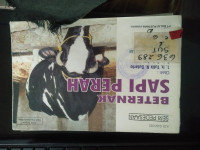 Image of Beternak Sapi Perah