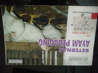 Image of BETERNAK AYAM PEDAGING