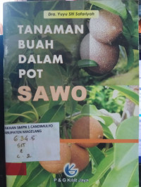Image of TANAMAN BUAH DALAM POT