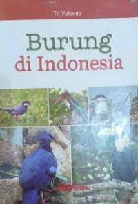 Image of BURUNG DI iNDONESIA