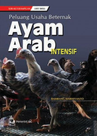 Image of Peluang Usaha Berternak Ayam Arab Intensif