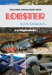 Image of PELUANG USAHA BUDI DAYA LOBSTER