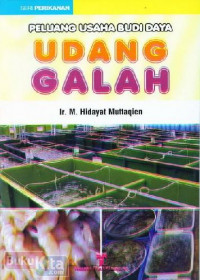 Image of PELUANG USAHA BUDI DAYA UDANG GALAH