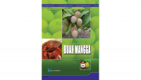 Image of Aneka Manfaat Buah Mangga